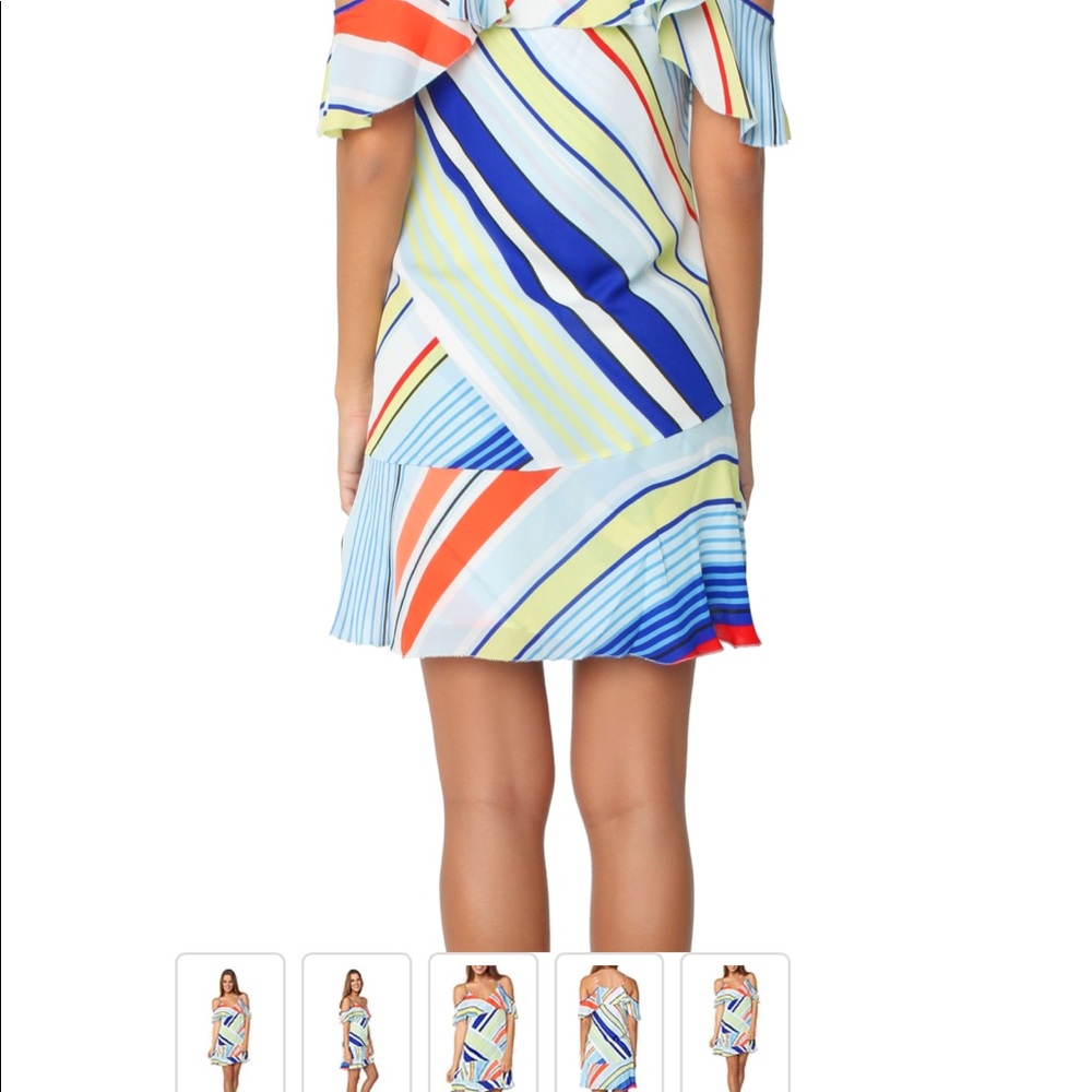 PARKER THATCHER DRESS DIVERGENT - Picture 13 of 15